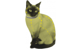 Naturalna Obroża Przeciwko Pchłom i Kleszczom dla Kota