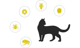 Naturalna Obroża Przeciwko Pchłom i Kleszczom dla Kota